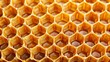 © servoooo - honeycomb-full-of-honey