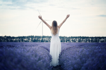Wall Mural - rear view of a long-haired woman in a white dress with raised arms among blooming lavender field bef
