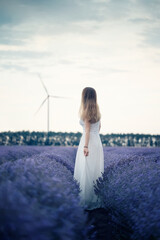 Wall Mural - rear view of a long-haired woman in a white dress, posing among blooming lavender field before sunse
