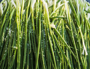 Poster - Close-up of trimmed chives with stems and green leaves pickled with salt, South Korea
