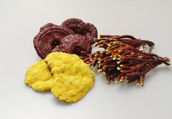 Poster - Close-up of three types of dried mushrooms like Phellinus linteus, Reishi mushroom and Antler ganoderma lucidum on white floor, South Korea
