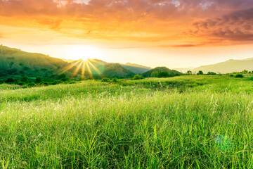 Wall Mural - summer of spring landscape of green grass meadow with great beautiful mountains and awersome golden cloudy sunset