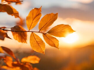 Canvas Print - Orange autumn leaves wallpaper