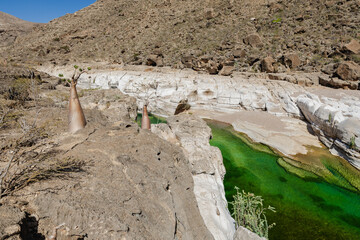 Kalysan Canyon with water of an amazing color! Socotra delights with its interesting and original views and nature.