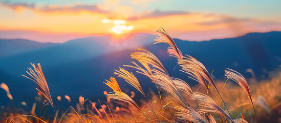 Wall Mural - Soft focus mountain grass at sunset, blowing in the wind with a blurred mountain backdrop, perfect for copy space image, illustrating the beauty of nature.