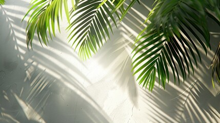 Illustration of tropical palm leaves with abstract shadow on white concrete wall tropical blurred background. Ai generated Image