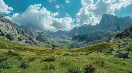 Poster - Mountainous valley scenery with a peak in the distance