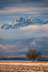 Wall Mural - Winter views of the Tatra peaks seen from the Polish  side. The Tatra National Park in its winter attire makes an incredible impression.