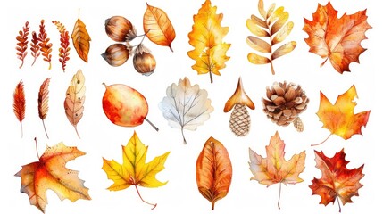 Poster - A collection of autumn leaves on a clean white background, perfect for design and editorial use