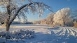 © Anastasiia - Snowy landscape with ice-covered tree limbs at sunrise in winter