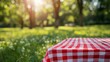 © gen_pick - Checkered Cloth on Lush Green Grass, Perfect Picnic Spot