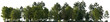 © Roman - Frontal view Forest mixed trees (birch, sycamore platanus, spruce, pine, maple and other) isolated png on a transparent background premium cutout day lighting