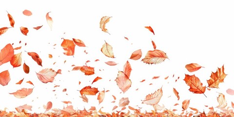 Poster - Leaves suspended in air, free floating