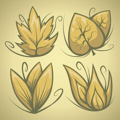 cartoon style autumn leaves illustrated for designers