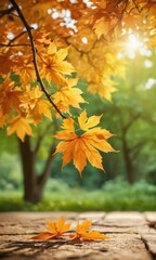 Canvas Print - Autumn Leaves on a Stone Path.