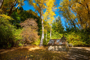 Wall Mural - Historic Arrowtown Chinese Settlement - New Zealand