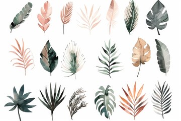Poster - Colorful tropical leaves on a white background, ideal for travel or nature themed designs