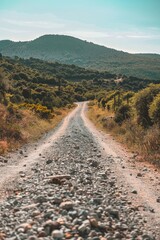 Poster - A rural dirt road runs through a green field, suitable for agricultural or countryside scene photography
