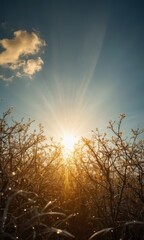 Wall Mural - Golden Sunset Through Branches.