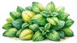 © DigitalArt Max - Watercolor illustration of lush green lemon balm leaves overflowing with freshness and natural beauty in delicate hand-drawn details.