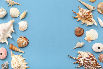 Many different sea shells on blue background