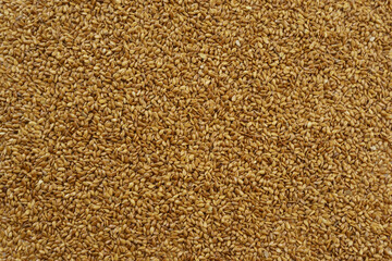 Sticker - Close-up of flax seed, South Korea
