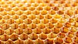 © Udomner - Close-up of honey in honeycombs stacked on the background , sweet, bees, hive, natural, organic, beekeeping, delicious, food