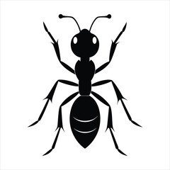 Wall Mural - Ant silhouette vector