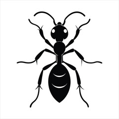 Wall Mural - Ant silhouette vector