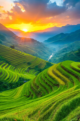 A view of a green field with a sunset in the background