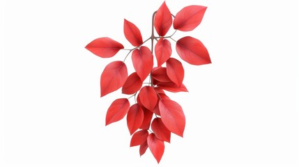 Sticker - A detailed 3D illustration of Parthenocissus quinquefolia, showcasing its vibrant green leaves in a hanging arrangement on a white background.