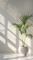 Poster - Minimalist Tropical Potted Plant on White Background for Modern Product Presentation