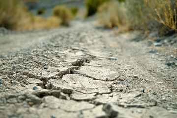 Wall Mural - A cracked, parched landscape with dried-up riverbeds and wilting vegetation, exemplifying the impact of extreme heat on the environment