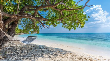 Wall Mural - Sunset at the ocean at a tropical sand beach with beautiful blue water. A comfortable hammock is hanging between two palm trees. Summer island landscape.