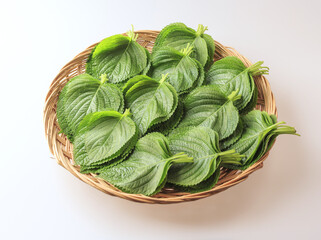 Canvas Print - Close-up of bunches of fresh sesame leaves on white floor, South Korea
