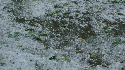 Wall Mural - Slow motion closeup of hailstones falling on the pavement during strong hailstorm