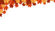 © suicidestock - Autumn leaf background with transparent background. Autumn leaf border with transparent background
