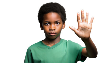 Wall Mural - a young boy holds a stop sign.