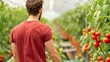 © Pual GotoMars - A man tending to ripening tomatoes in a vibrant greenhouse, showcasing sustainable agriculture and healthy produce cultivation.