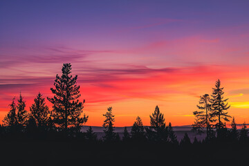 Canvas Print - Vibrant Sunset with Orange and Pink Hues Over Silhouetted Trees  