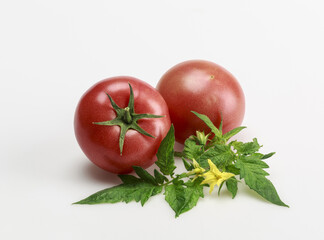 Wall Mural - Close-up of two fresh tomatoes with green leaves and yellow flowers on white floor, South Korea
