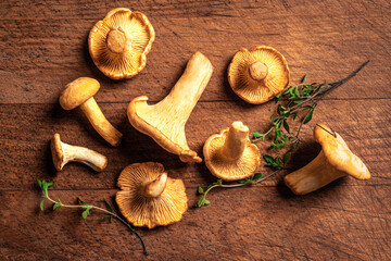 Wall Mural - Chanterelle forest mushrooms