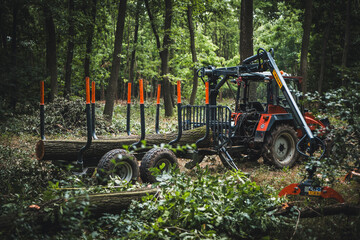 Wall Mural - Forwarder tractor for wood transport. Tractor with trailer loaded with logs. Forestry tractor or forestry tractor for harvesting wood in the forest. Forest industry. Logging in summer forest.