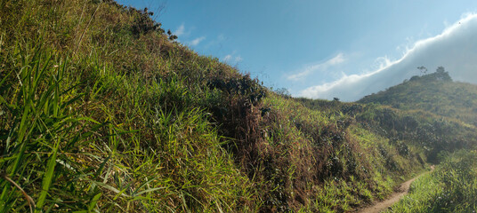 Mountain stone rock waterfall dry fall cliff hill nature forest green park island beautiful trees bush animal blue sky sun life day vacation landscape trail path land dust climb farm