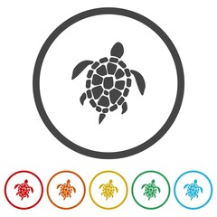 Canvas Print - Sea turtle icon. Set icons in color circle buttons