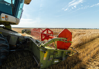 Wall Mural - Harvesting combine in the wheat.