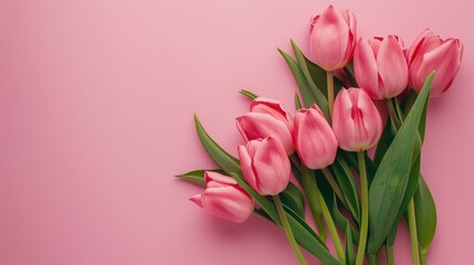 Sticker - Mother s Day floral arrangement Pink tulip bouquet on pastel background Mockup with space Top down view