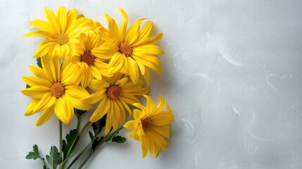 Canvas Print - Yellow chrysanthemum flowers on light gray backdrop top view with copy space floral wallpaper depicting a summer bouquet and delicate bloom Illustrates a springtime theme