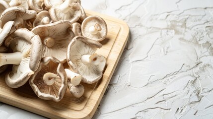 Edible oyster mushrooms on bamboo board white background for cooking and pickling close up with space