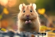 © Hype2Art - Adorable cute hamster pet rodent furry animal mammal in small nature forest